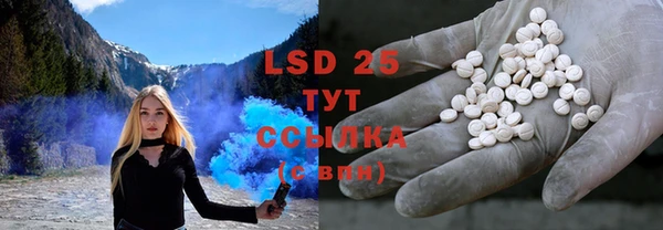 дмт Инта
