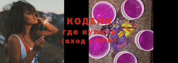 дмт Инта
