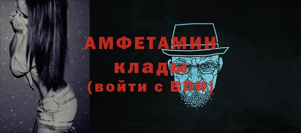 Альфа ПВП Инсар
