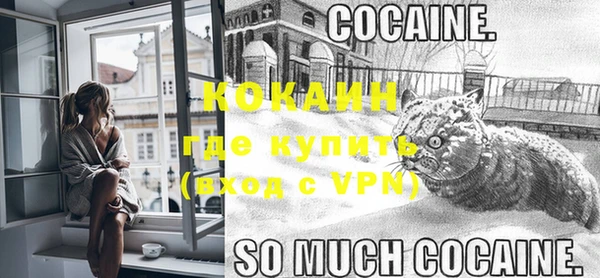 Альфа ПВП Инсар