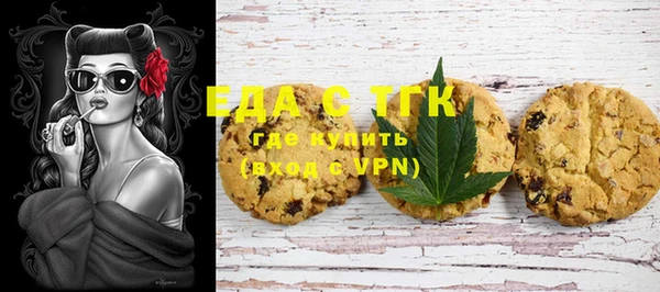 Альфа ПВП Инсар