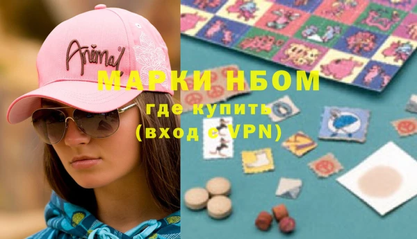 дмт Инта