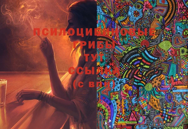дмт Инта