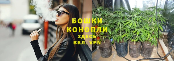 молекула духа Каменногорск