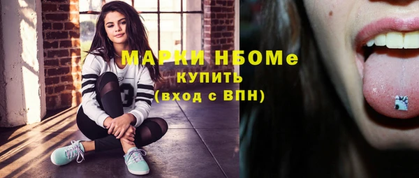 Альфа ПВП Инсар
