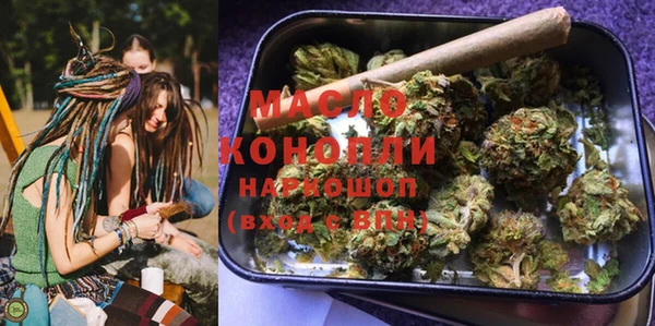 дмт Инта